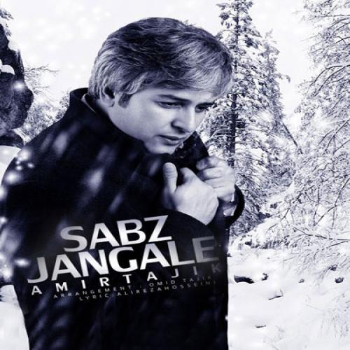 دانلود آهنگ جنگل سبز دانلود آهنگ جنگل سبز